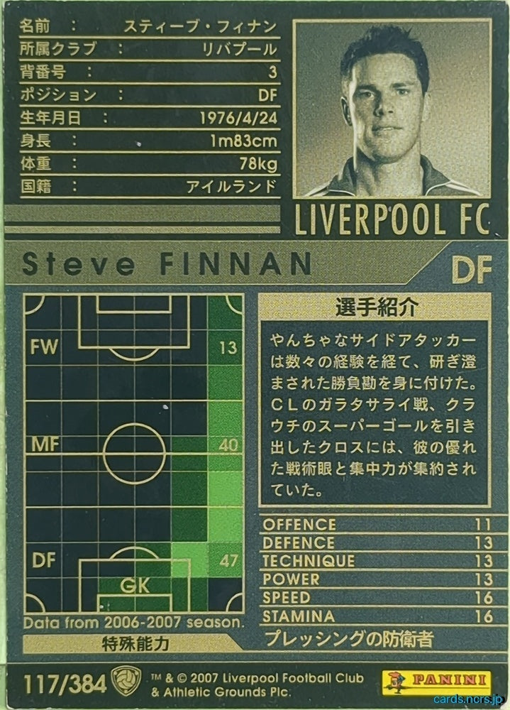 Panini WCCF Football WCCF/2006-2007-117/384 N Steve Finnan Trading Card EX