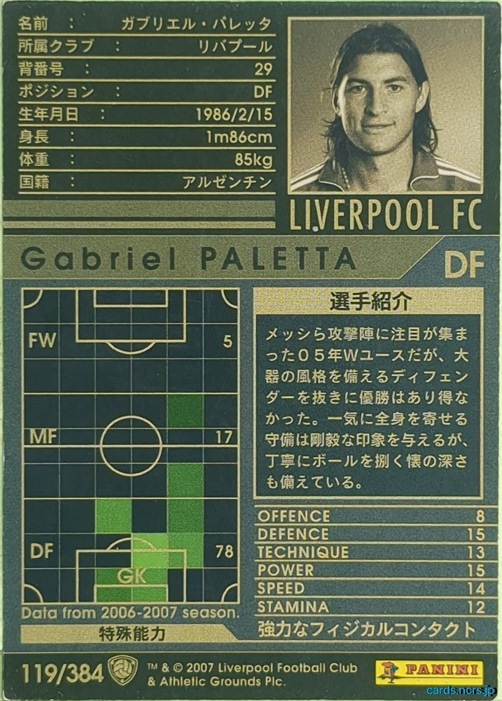 Panini WCCF Football WCCF/2006-2007-119/384 N Gabriel PALETTA Trading Card EX