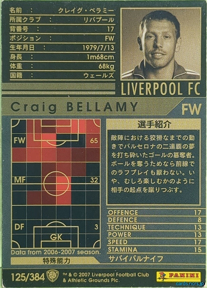 Panini WCCF Football WCCF/2006-2007-125/384 N Craig Bellamy Trading Card EX