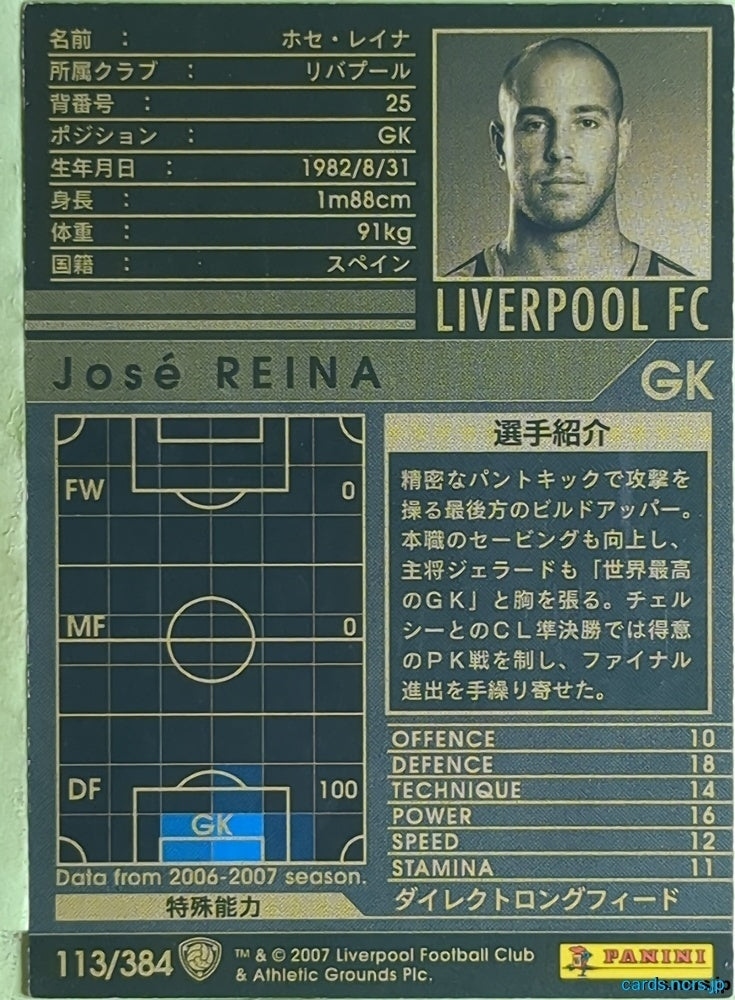 Panini WCCF Football WCCF/2006-2007-113/384 N José Reina Trading Card EX