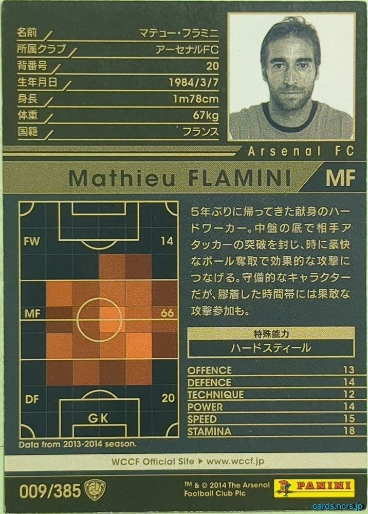 Panini WCCF Football WCCF/2013-2014-009/385 N Mathieu Flamini Trading Card EX