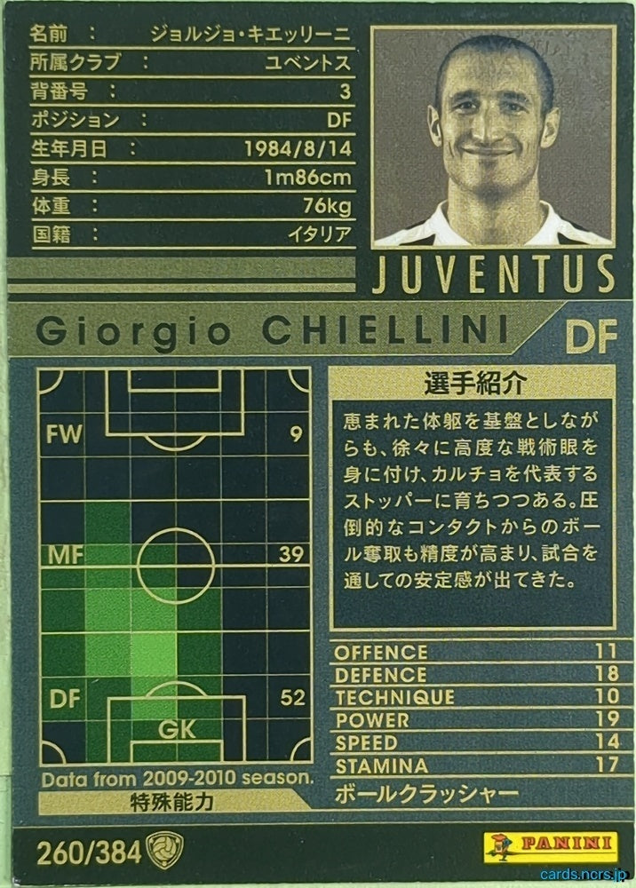 Panini WCCF Football WCCF/2009-2010-260/384 N Giorgio Chiellini Trading Card EX