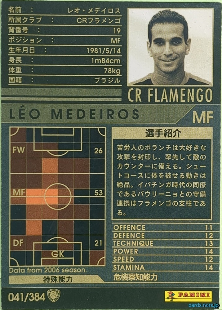 Panini WCCF Football WCCF/2006-2007-041/384 N Léo Medeiros Trading Card EX
