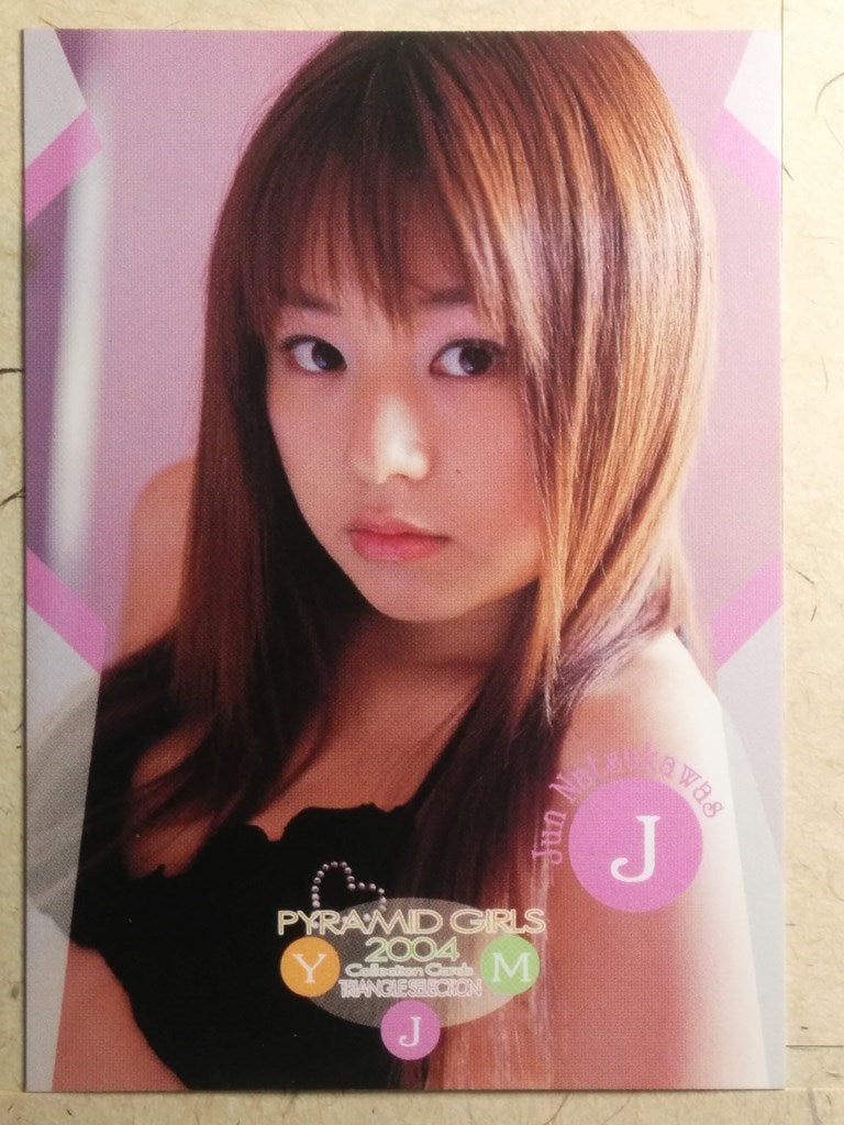 Japanese Idol Collective Cards -Jyun Natsukawa- Trading Card EPO/JN-77