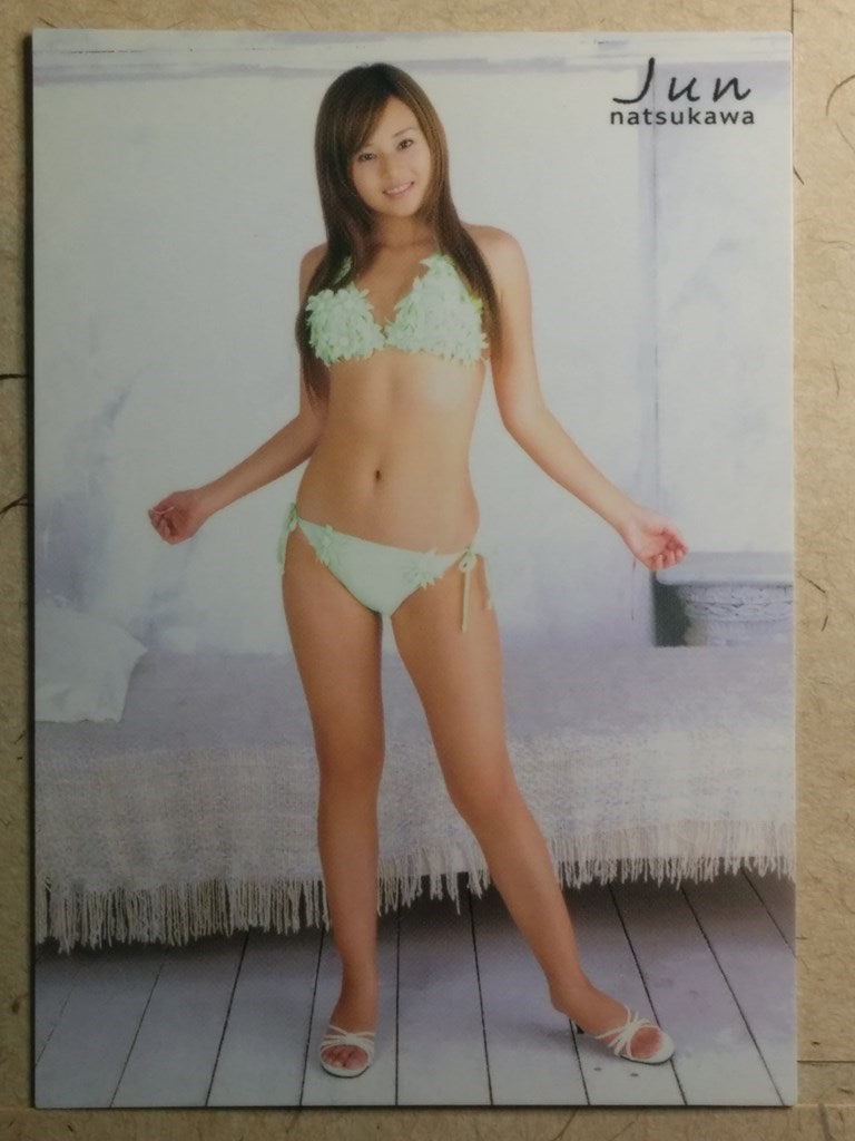 Japanese Idol Collective Cards -Jyun Natsukawa- Trading Card SAK/JN-56
