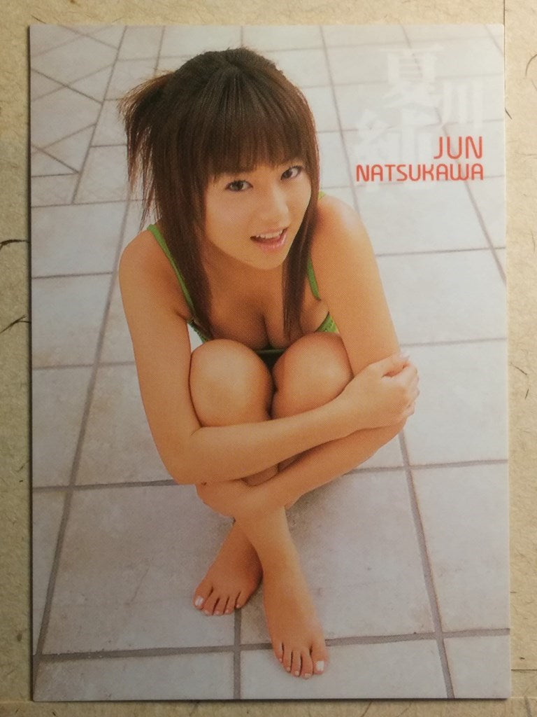 Japanese Idol Collective Cards -Jyun Natsukawa- Trading Card SAK/2003/JN-02