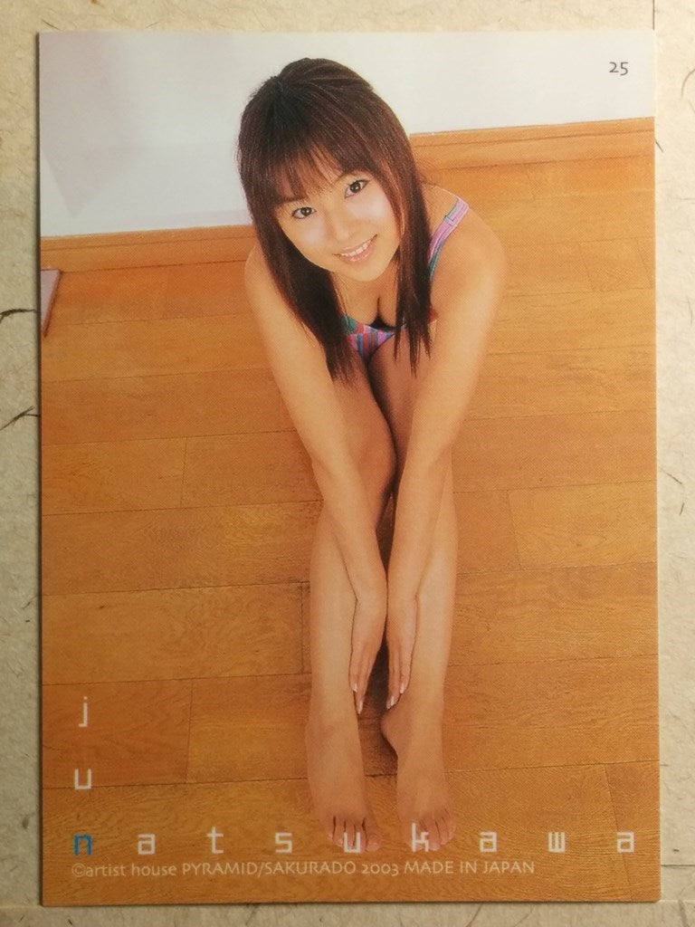 Japanese Idol Collective Cards -Jyun Natsukawa- Trading Card SAK/JN-25
