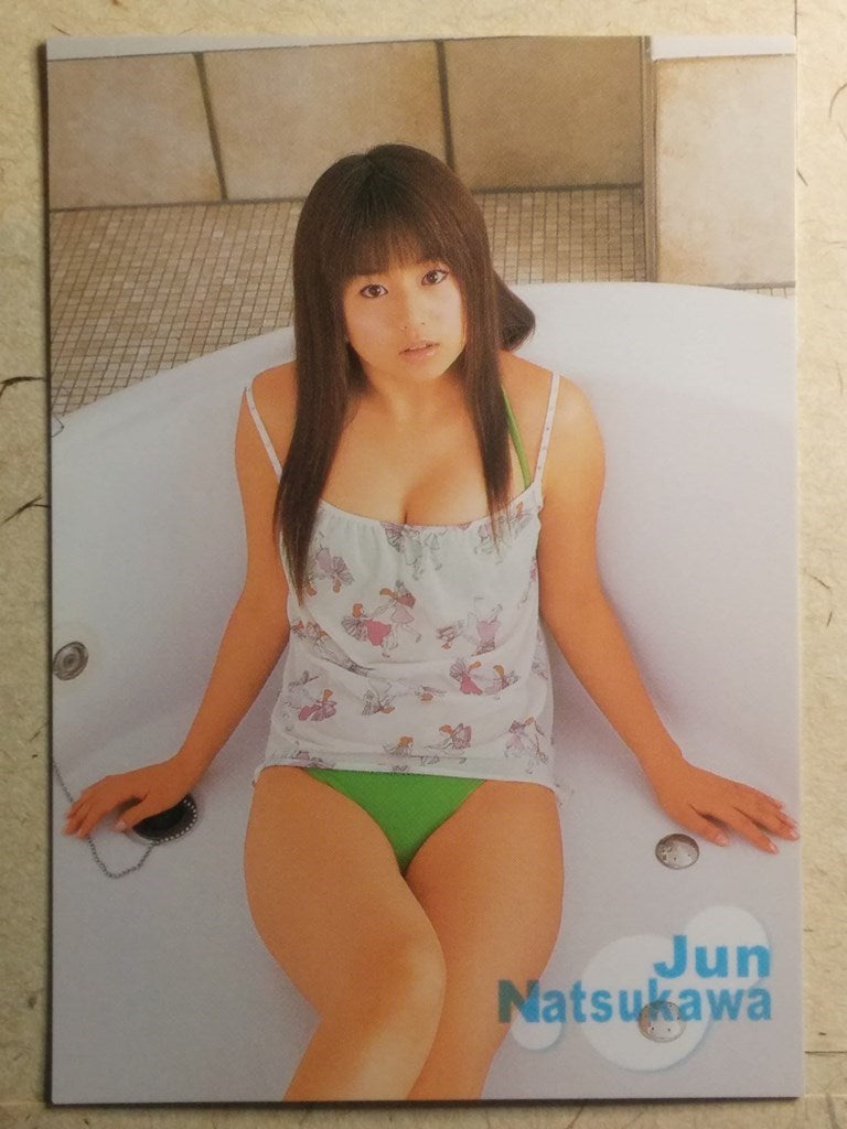 Japanese Idol Collective Cards -Jyun Natsukawa- Trading Card SAK/JN-25