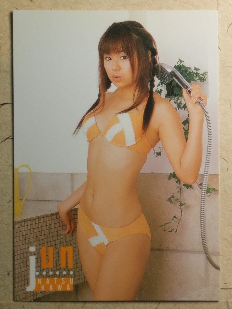 Japanese Idol Collective Cards -Jyun Natsukawa- Trading Card SAK/2003/JN-38