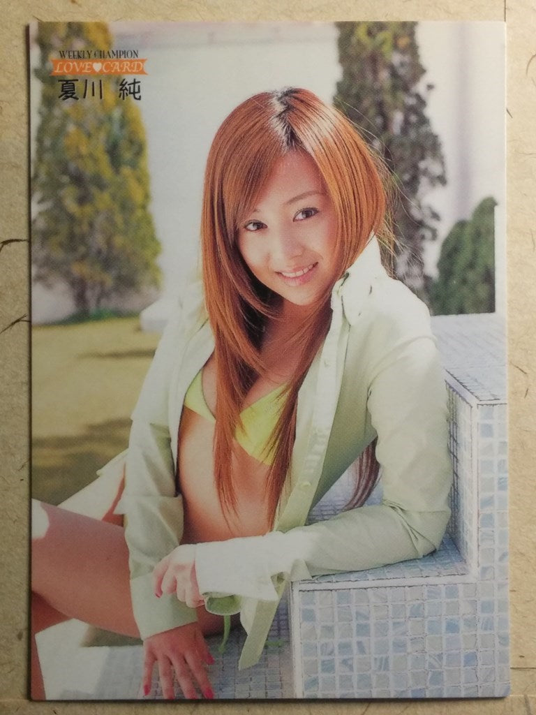 Japanese Idol Collective Cards -Jyun Natsukawa- Trading Card WCLC/JN-027