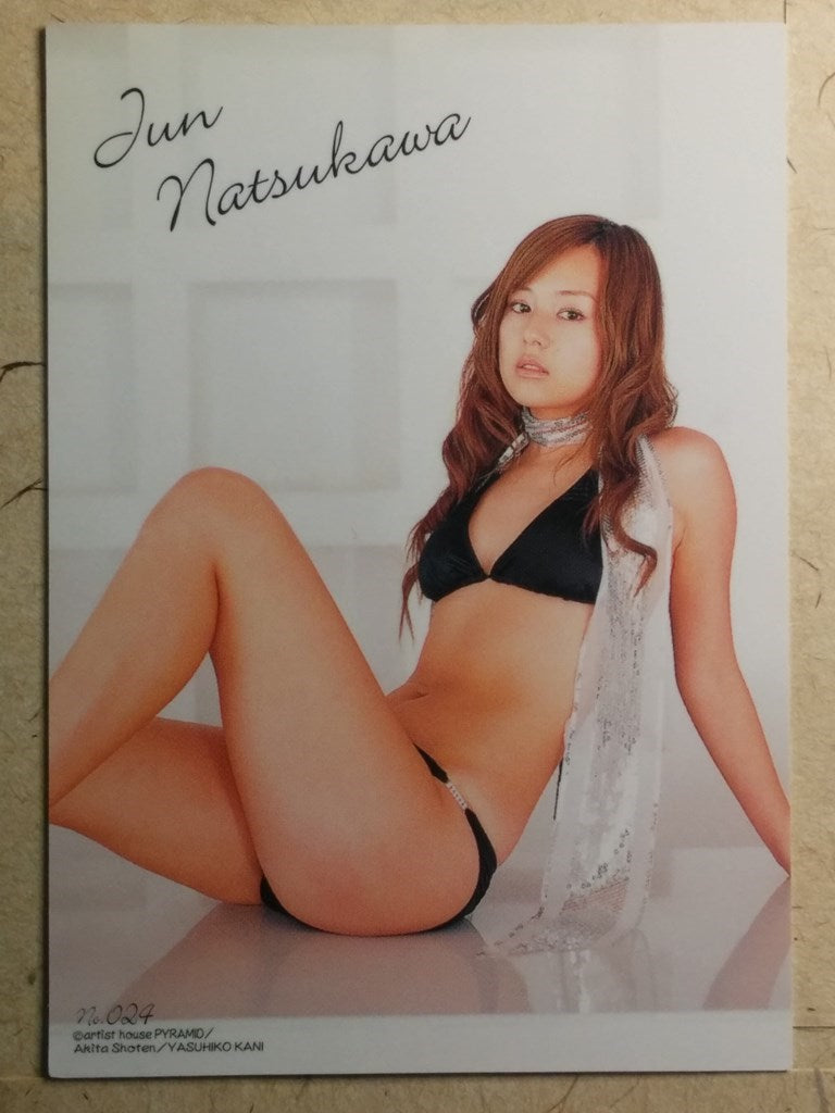 Japanese Idol Collective Cards -Jyun Natsukawa- Trading Card WCLC/JN-024