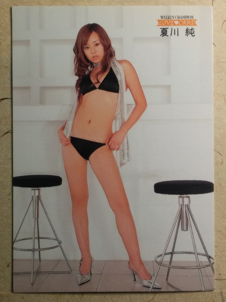Japanese Idol Collective Cards -Jyun Natsukawa- Trading Card WCLC/JN-024
