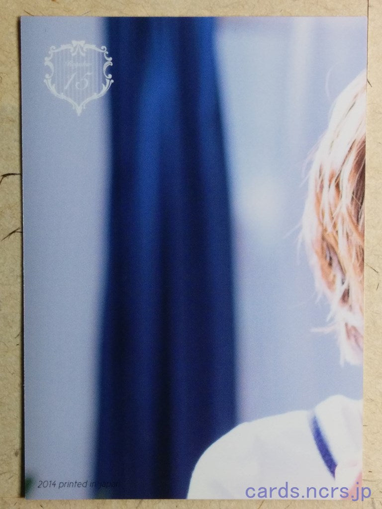 Regular -Ami Kikuchi- 15 Trading Card REG-2014-015