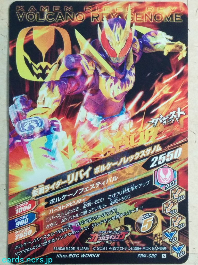 Ganbarizing Kamen Rider -Revi- Volcane Rex Genome Trading Card GAN/PRM-030N