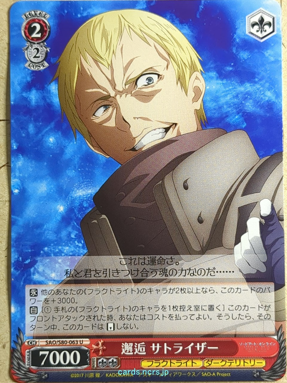 Weiss Schwarz Sword Art Online -Subtilizer- Trading Card SAO/S80-063U
