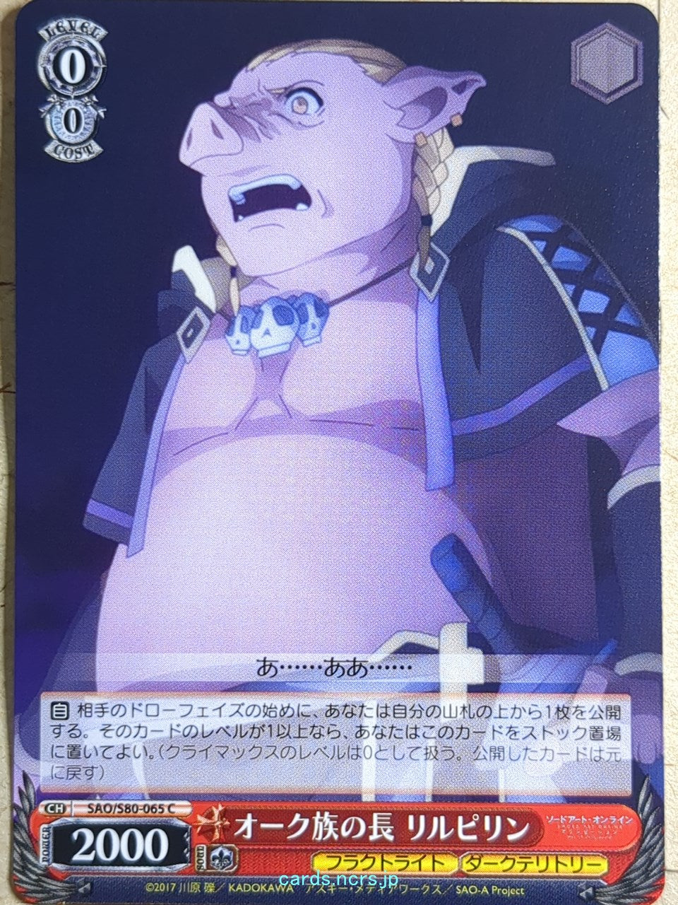 Weiss Schwarz Sword Art Online -Rilpirin- Trading Card SAO/S80-065C