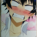 Weiss Schwarz Nisekoi NK/W30-093C C Raku Ichijo Trading Card NM