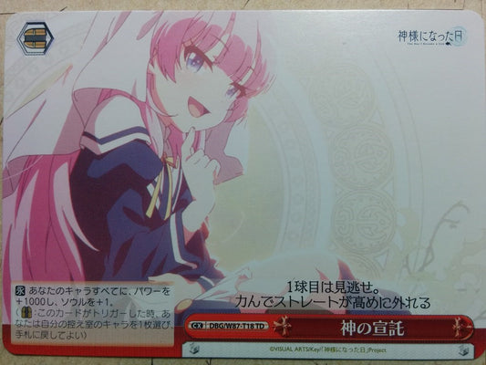 Weiss Schwarz The Day I Became a God DBG/W87-T18TD TD Hina Sato Trading Card NM
