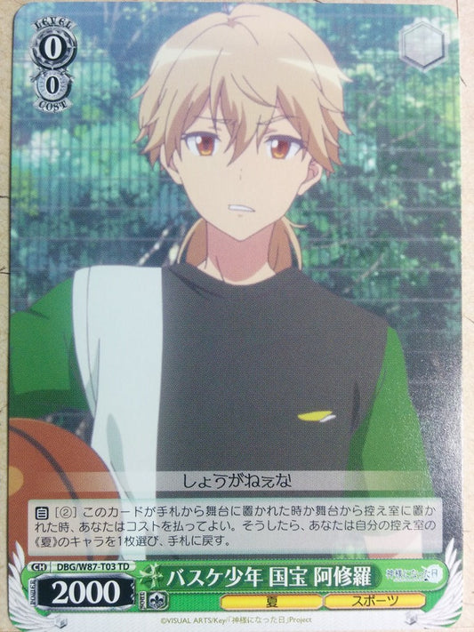 Weiss Schwarz The Day I Became a God DBG/W87-T03TD TD Ashura Kokuhou Trading Card NM