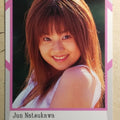 Japanese Idol Collective Cards EPO/JN-73 N Jyun Natsukawa Trading Card NM