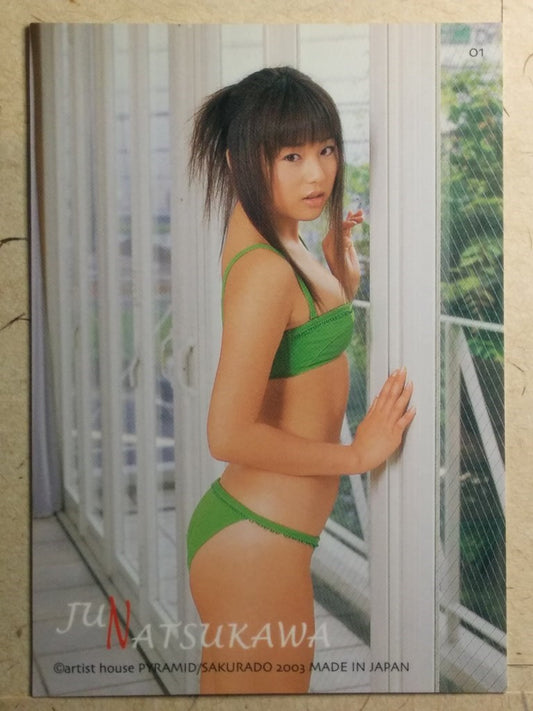 Japanese Idol Collective Cards SAK/2003/JN-01 N Jyun Natsukawa Trading Card NM