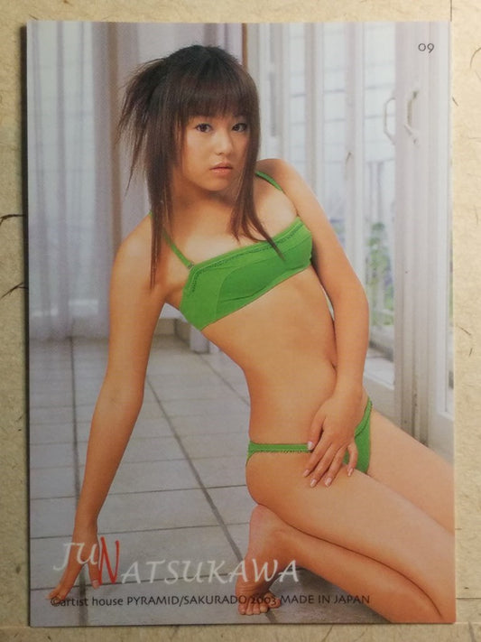 Japanese Idol Collective Cards SAK/2003/JN-09 N Jyun Natsukawa Trading Card NM