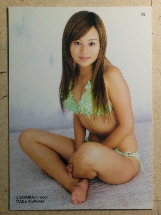 Japanese Idol Collective Cards SAK/2004/JN-23 N Trading Card NM
