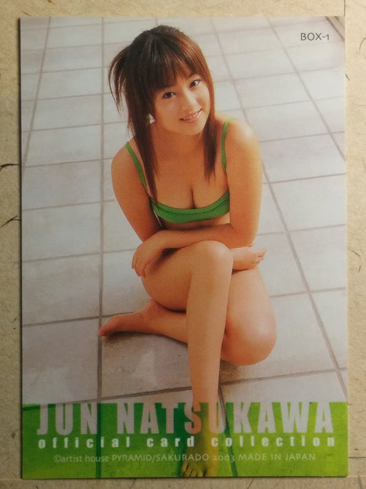 Japanese Idol Collective Cards SAK/2003/JN-BOX1 N Jyun Natsukawa Trading Card NM