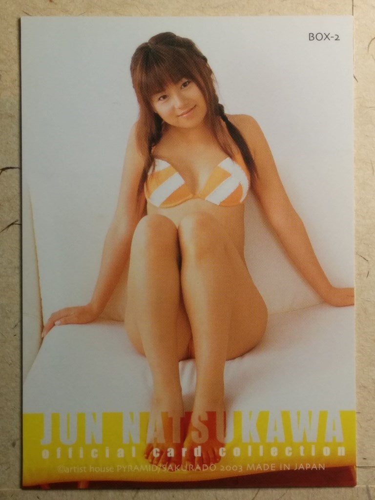 Japanese Idol Collective Cards SAK/2003/JN-BOX2 N Jyun Natsukawa Trading Card NM