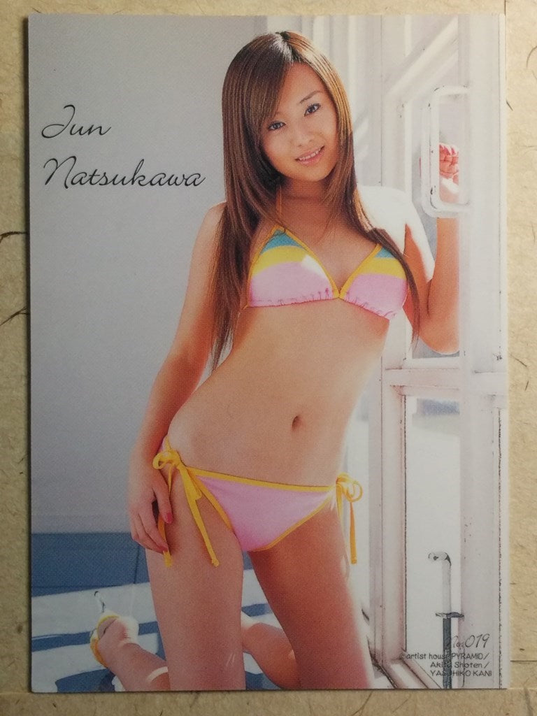 Japanese Idol Collective Cards WCLC/JN-019 N Jyun Natsukawa Trading Card NM