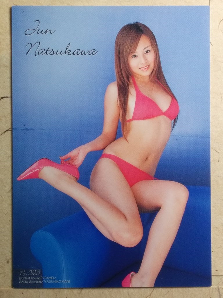 Japanese Idol Collective Cards WCLC/JN-023 N Jyun Natsukawa Trading Card NM