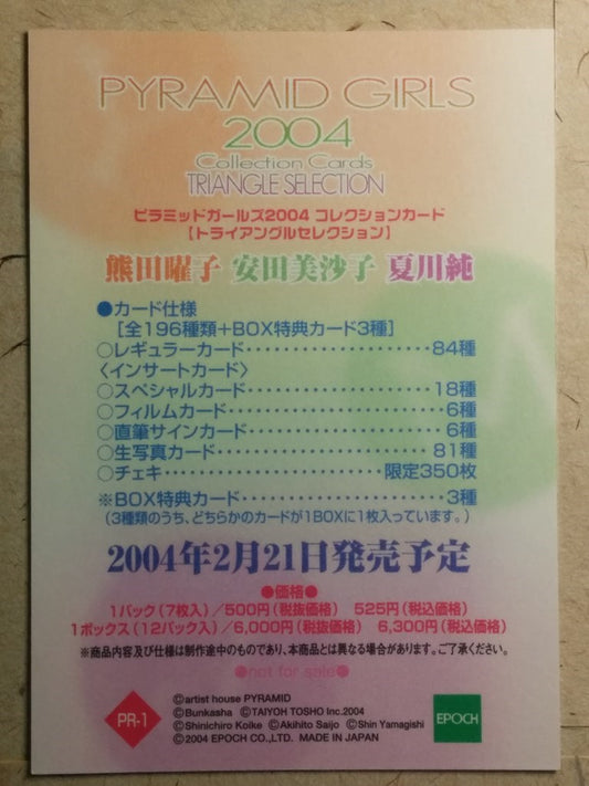 Japanese Idol Collective Cards EPO/JN-PR1 N Trading Card NM