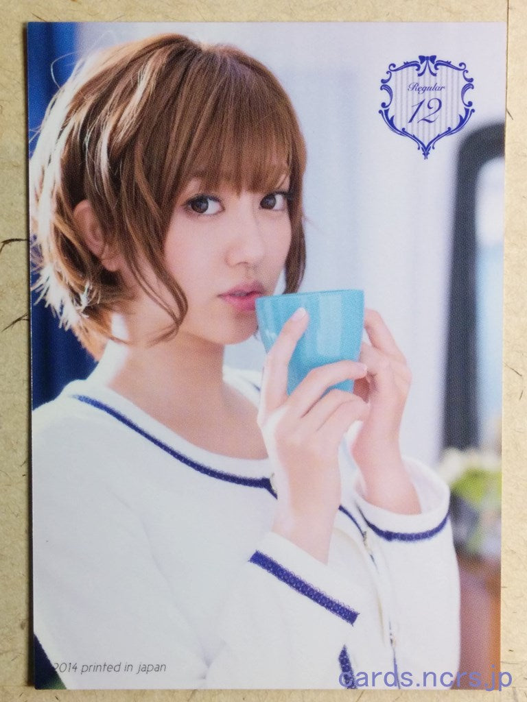 Regular REG-2014-012 C Ami Kikuchi Trading Card NM
