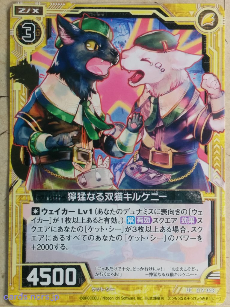 Z/X Zillions of Enemy X Z/X B19-048-UC UC Kilkenny Trading Card NM