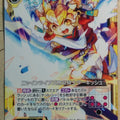 Z/X Zillions of Enemy X Z/X B32-029-N N Turkish Trading Card NM