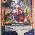Z/X Zillions of Enemy X Z/X B28-008-N N Echidna Trading Card NM