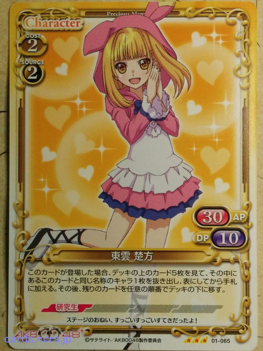 Precious Memories AKB0048 PM/AKB-01-065 3 Star Sonata Shinonome Trading Card NM