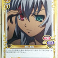 Precious Memories Samurai Girls PM/HYA-01-046 2 Star Gisen Yagyu Trading Card NM