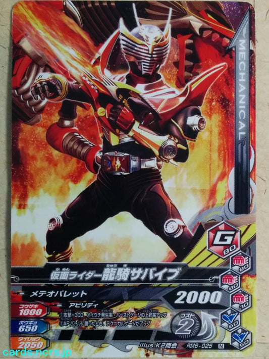Ganbarizing Kamen Rider GAN/RM6-025N N Ryuki Trading Card NM