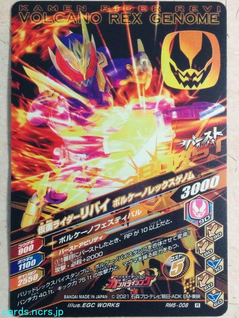 Ganbarizing Kamen Rider GAN/RM5-008R R Revi Trading Card NM