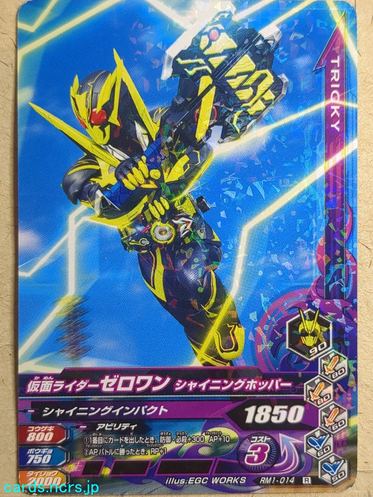 Ganbarizing Kamen Rider GAN/RM1-014R R Zero-One Trading Card NM