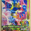 Ganbarizing Kamen Rider GAN/RT5-044R R Para-DX Trading Card NM