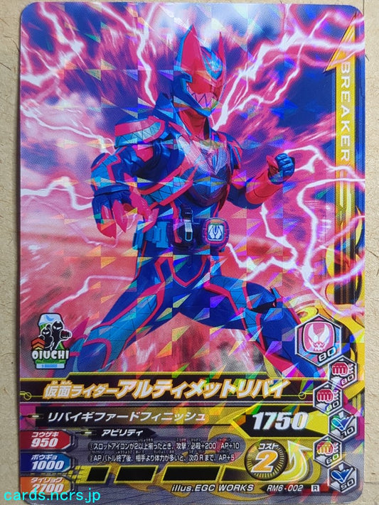 Ganbarizing Kamen Rider GAN/RM6-002R R Ultimate Revi Trading Card NM