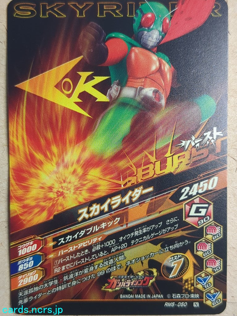 Ganbarizing Kamen Rider GAN/RM5-050N N Skyrider Trading Card NM