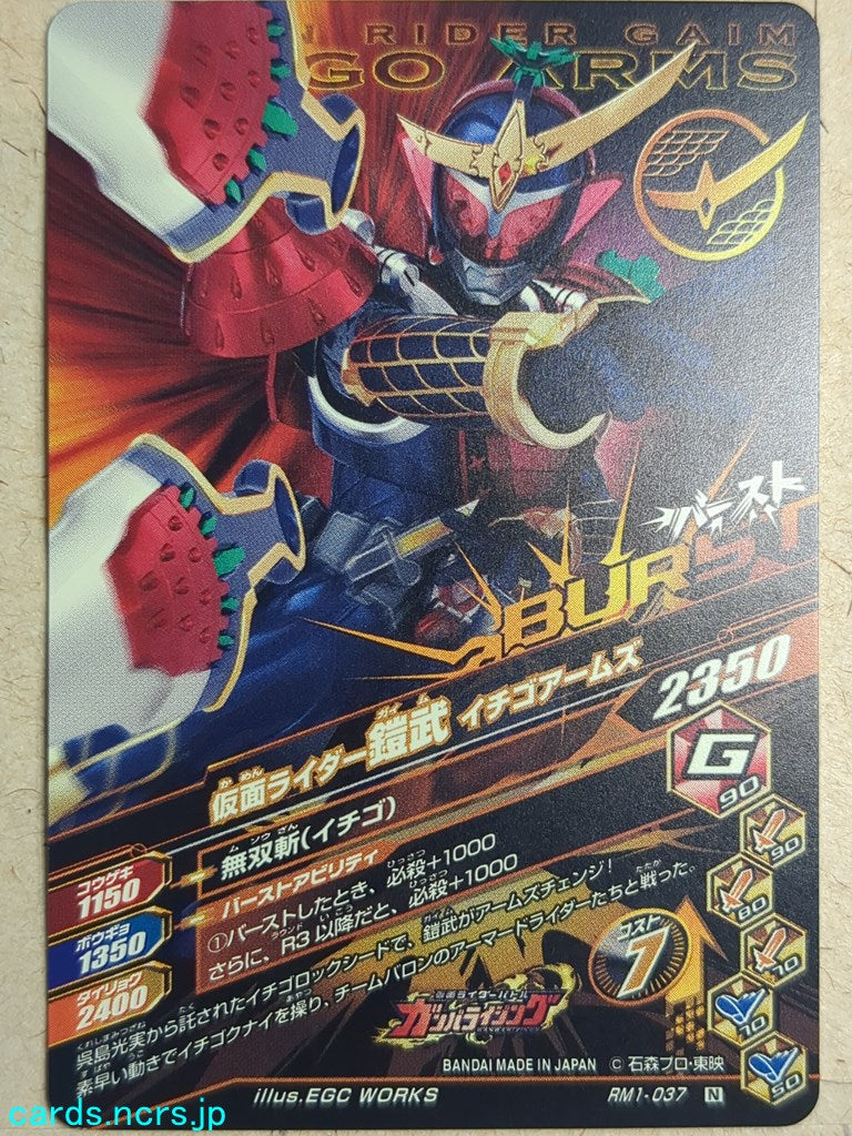 Ganbarizing Kamen Rider GAN/RM1-037N N Gaim Trading Card NM