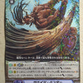 Cardfight!! Vanguard VAN/BT11/034R R Trading Card PL