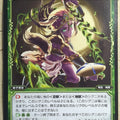 Wixoss Bk Wixoss WX04-049 R Shienko Trading Card NM