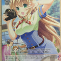 Weiss Schwarz Girl Friend Beta GF/W38-102PR PR Erena Mochizuki Trading Card NM