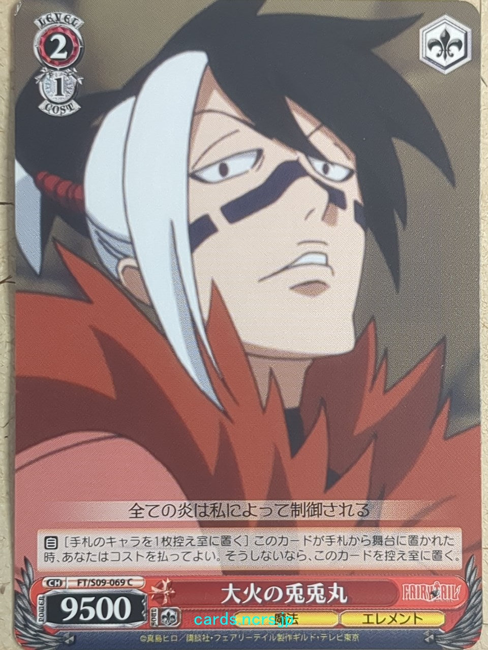 Weiss Schwarz Fairy Tail FT/S09-069C C Totomaru Trading Card NM