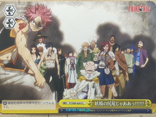 Weiss Schwarz Fairy Tail FT/S09-024CC CC Natsu Dragneel Trading Card NM